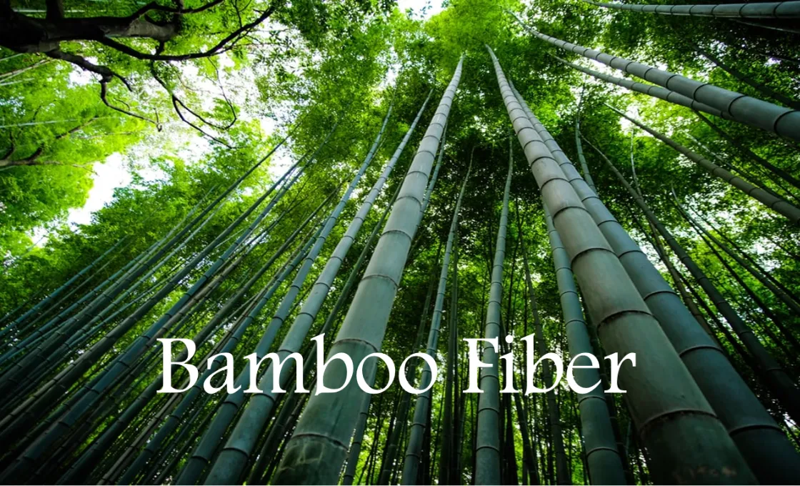 Bamboo for Ladies' clothing producing